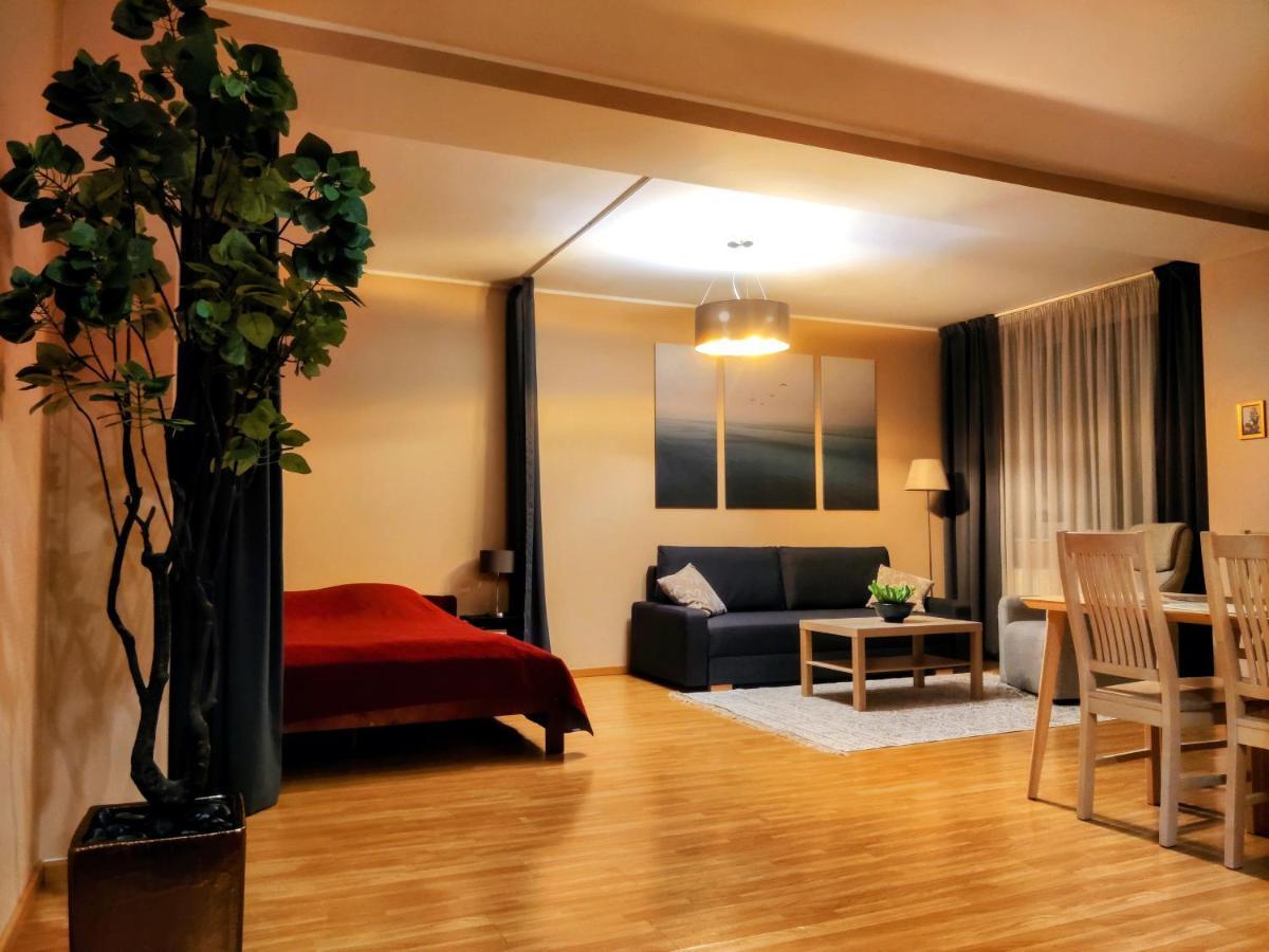 Joe - With Sauna In The Center Appartement
